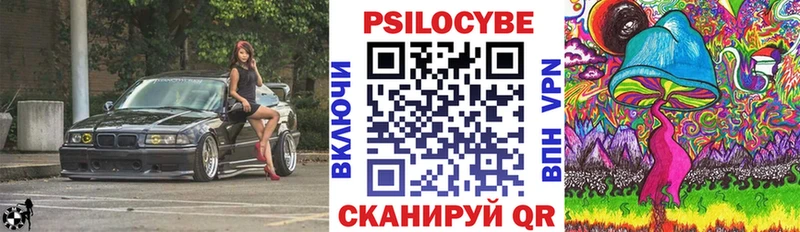 Псилоцибиновые грибы GOLDEN TEACHER Кудрово