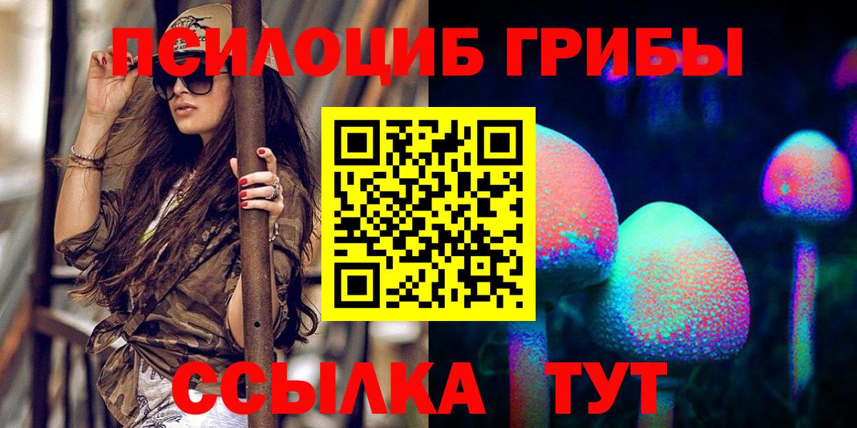 Псилоцибиновые грибы Psilocybine cubensis Кудрово